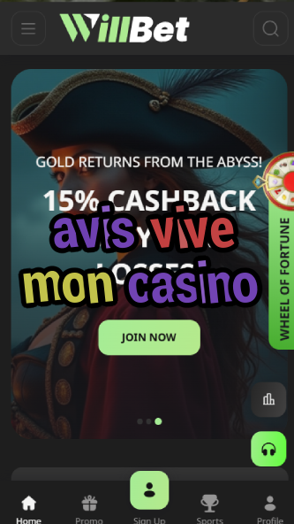 avis vive mon casino-bandasonoracasino.asdasdzhjkds.com